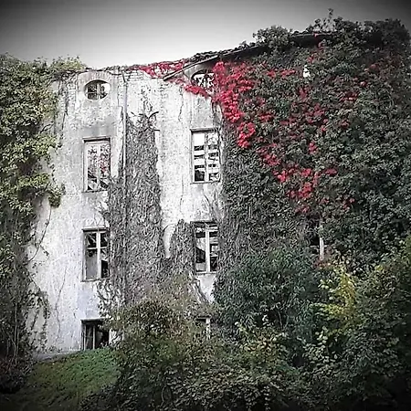 Bed & Breakfast D'hotes Maison La Porte Rouge Niort